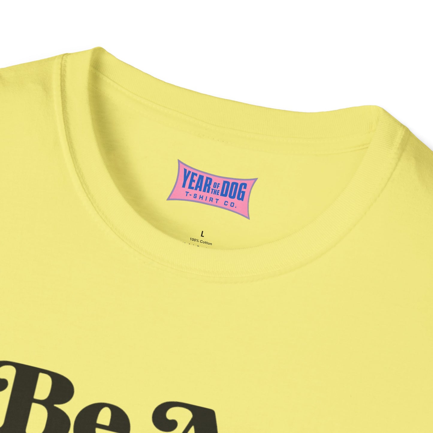 Unisex T-Shirt Be A Man Vote For a Woman