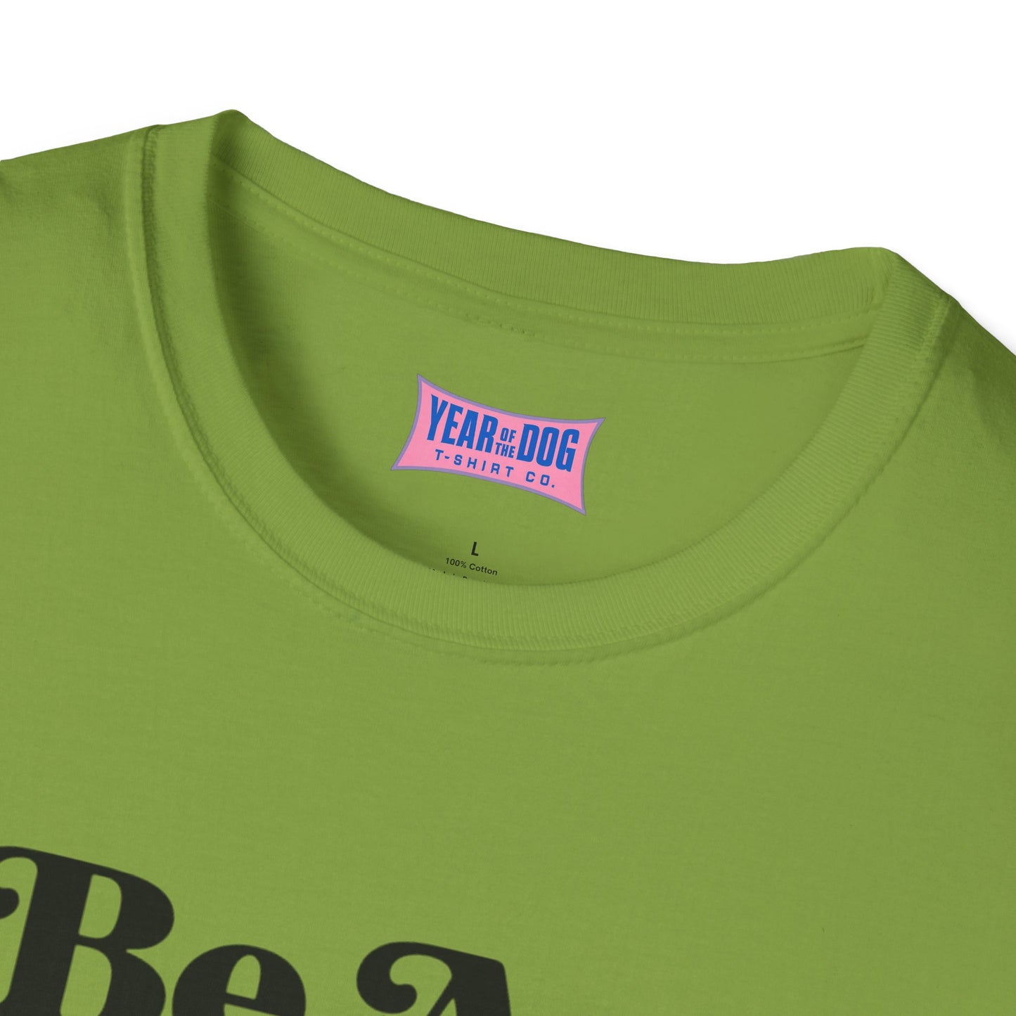 Unisex T-Shirt Be A Man Vote For a Woman